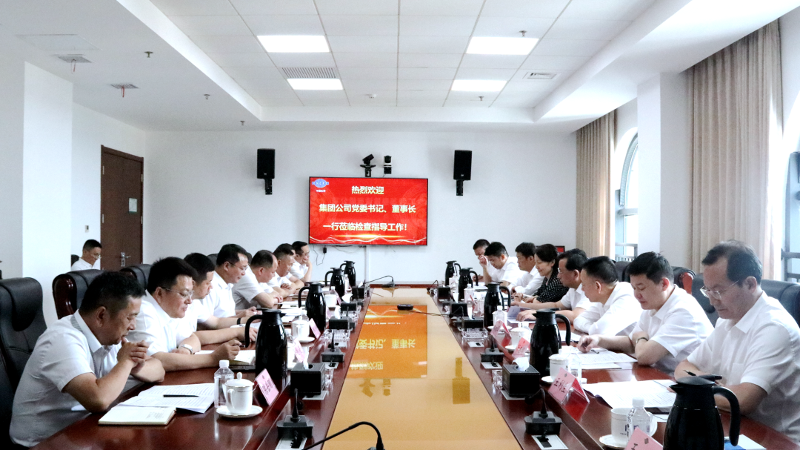 2022年6月，集團(tuán)公司黨委書記、董事長戴和根一行到公司調(diào)研指導(dǎo)工作