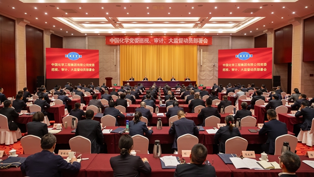 中國化學(xué)黨委召開巡視、審計、大監(jiān)督動員部署會