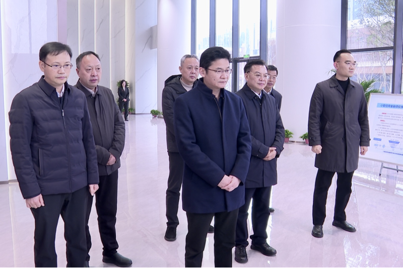 曹志強到港晨公司綜合體項目考察調(diào)研