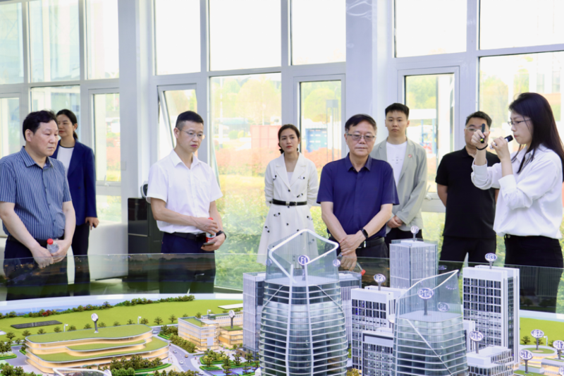 九三學(xué)社湖南省委會到港晨公司綜合體項目開展專題調(diào)研