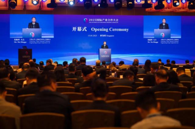 莫鼎革受邀出席新加坡產業(yè)合作大會開幕式并致辭